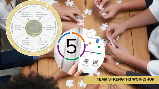 Strengths Team Workshop (Full Day)