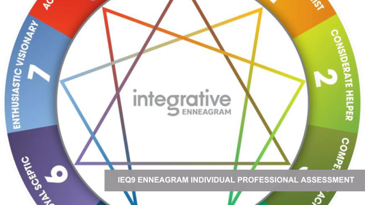 iEQ9 Enneagram Individual Professional Assessment